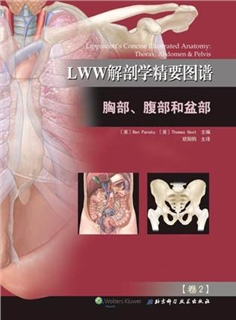LWW解剖学精要图谱 卷2 胸部、腹部和盆部