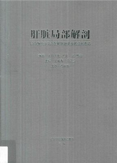 肝脏局部解剖 以门静脉分段为基础肝脏新分段法的思路