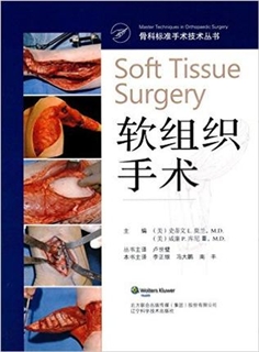 软组织手术 骨科标准手术技术丛书