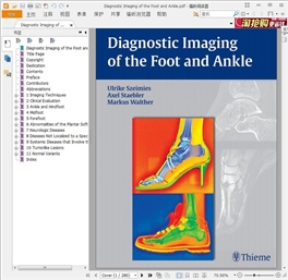 Diagnostic Imaging of the Foot and Ankle 1E (2015)