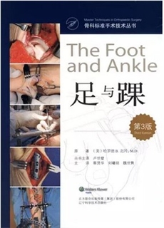 骨科标准手术技术丛书 足与踝 第3版