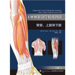 LWW解剖学精要图谱 背部、上肢和下肢