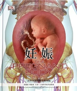 妊娠  从怀孕到分娩全程图解