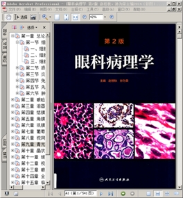 眼科病理学 第2版