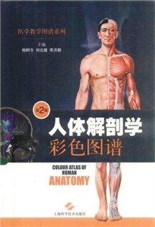 人体解剖学彩色图谱（第2版）