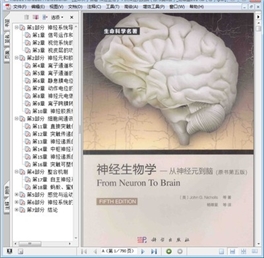 神经生物学 从神经元到脑 原书第5版