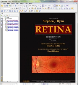 Retina, 5th Expert Consult Premium Edition 3-Volume Set 2013