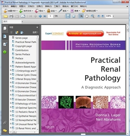 Practical Renal Pathology A Diagnostic Approach 2013