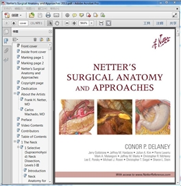 Netter"s Surgical Anatomy and Approaches 2013