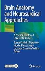 Brain Anatomy and Neurosurgical Approaches A Practical, Illustrated, Easy-to-Use Guide 2023（脑解剖和神经外科方法实用、图解、易于使用的指南）