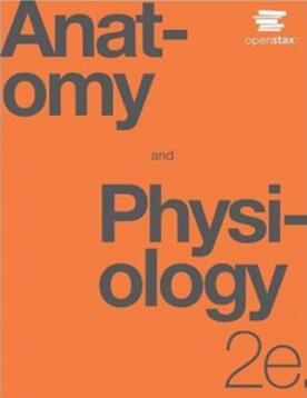 Anatomy and physiology (OpenStax) 2nd Edition 2022（解剖学和生理学 第2版）