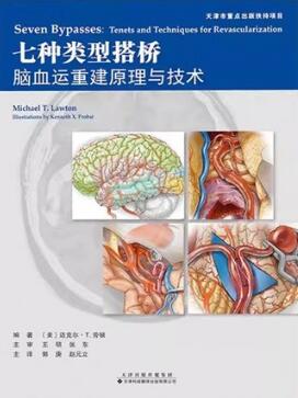 七种类型搭桥 脑血运重建原理与技术
