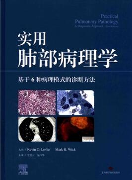 实用肺部病理学 基于6种病理模式的诊断方法