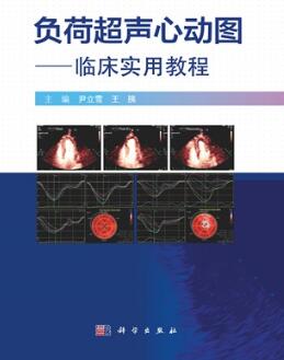 负荷超声心动图 临床实用教程