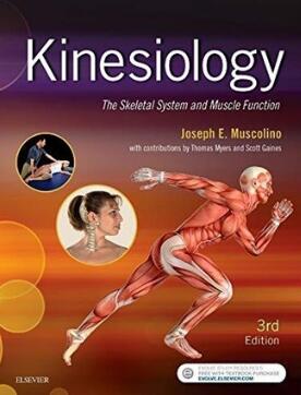 Kinesiology The Skeletal System and Muscle Function 3rd Edition（运动学 骨骼系统和肌肉功能 第3版）