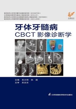 牙体牙髓病CBCT影像诊断学