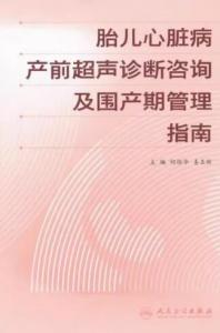 胎儿心脏病产前超声诊断咨询及围产期管理指南