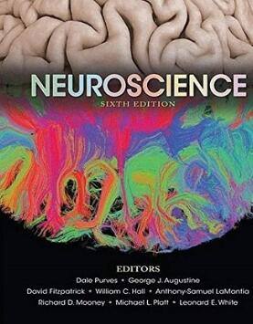 Neuroscience 6th Edition 2018（神经科学 第6版）