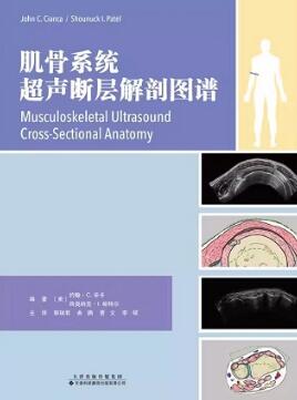 肌骨系统超声断层解剖图谱