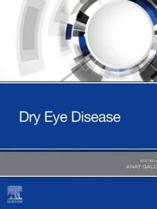 Dry Eye Disease 2022（干眼症）