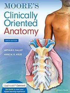 Moore’s Clinically Oriented Anatomy 9th Edition 2023（Moore临床解剖学 第9版）