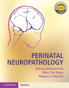 Perinatal Neuropathology 2021（围产期神经病理学）