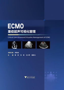 ECMO 重症超声可视化管理