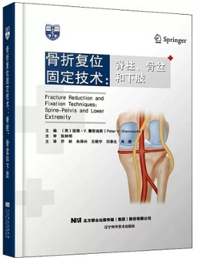 骨折复位固定技术：脊柱、骨盆和下肢