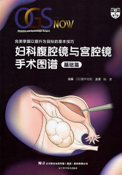 妇科腹腔镜与宫腔镜手术图谱 基础篇