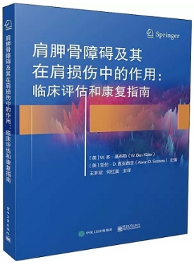 肩胛骨障碍及其在肩损伤中的作用 临床评估和康复指南