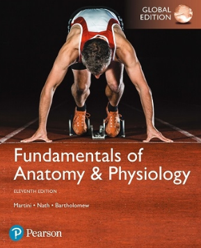 Fundamentals of Anatomy and Physiology Global Edition 11th Edition（解剖学和生理学基础 全球版 第11版）