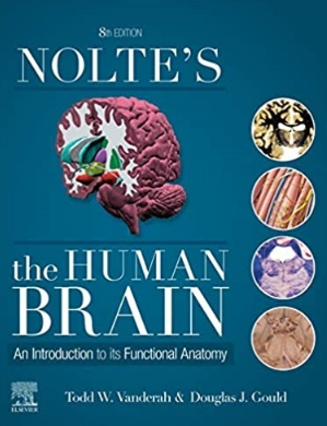 Nolte’s The Human Brain 8th Edition 2020（Nolte人类大脑 第8版）