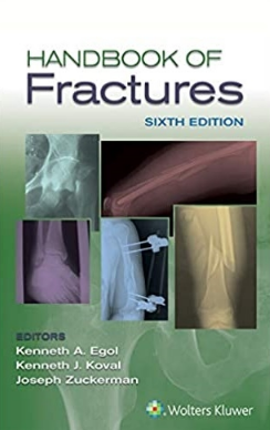 Handbook of Fractures 6th Edition 2020（骨折手册 第6版）