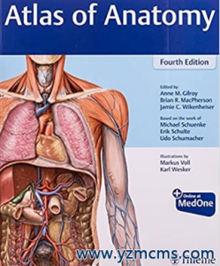 Atlas of Anatomy 4th Edition 2020（解剖学图谱 第4版）