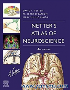 Netter’s Atlas of Neuroscience 4th Edition 2022（奈特神经科学彩色图谱 第4版）