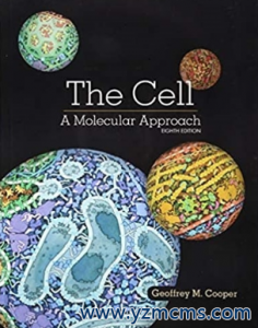 The Cell A Molecular Approach 8th Edition 2018（细胞 一种分子方法 第8版 ）