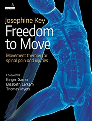 Freedom to Move Movement Therapy for Spinal Pain and Injuries（自由运动治疗脊柱疼痛和损伤）