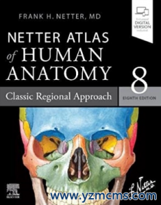 Netter Atlas of Human Anatomy Classic Regional Approach 8th Edition 2022（奈特人体解剖学图谱 局部方法 第8版）