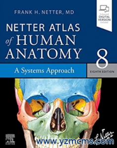 Netter Atlas of Human Anatomy A Systems Approach 8th Edition 2022（奈特人体解剖学图谱 系统方法 第8版