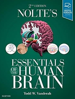 Nolte’s Essentials of the Human Brain 2nd Edition（Nolte人脑要点 第二版）