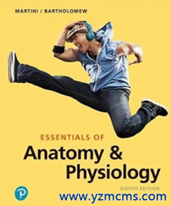 Essentials of Anatomy & Physiology 8th Edition 2019（解剖学基础生理学 第8版）