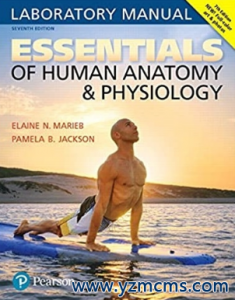 Essentials of Human Anatomy & Physiology 7th Edition（人体解剖学生理学要点 第7版）