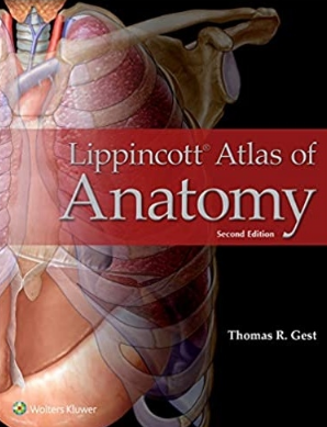 Lippincott Atlas of Anatomy 2nd Edition 2019（Lippincott解剖学图普 第二版）