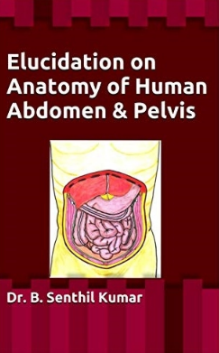 Elucidation on Anatomy of Human Abdomen ＆ Pelvis 2020（人体腹部和盆腔解剖学阐明）