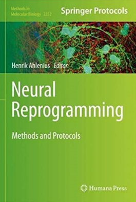 Neural Reprogramming 2021（神经重组）