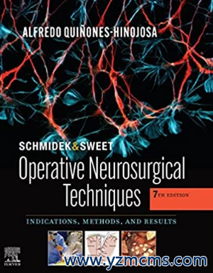 Schmidek and Sweet: Operative Neurosurgical Techniques 2-Volume Set: Indications, Methods and Results 7th Edition（神经外科手术技术 第7版）