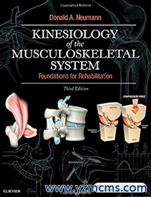 Kinesiology of the Musculoskeletal System 3rd Edition（肌肉骨骼系统的运动学 第3版）