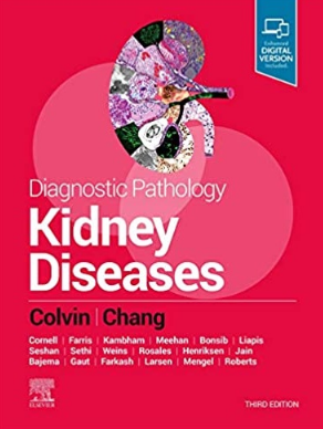 Diagnostic Pathology Kidney Diseases 3rd Edition（肾脏疾病诊断病理学 第3版）