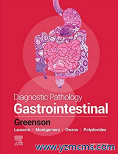 Diagnostic Pathology Gastrointestinal 3rd Edition（胃肠疾病诊断病理学 第3版）