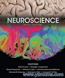 Neuroscience 6th by Dale Purve（神经科学 第6版）